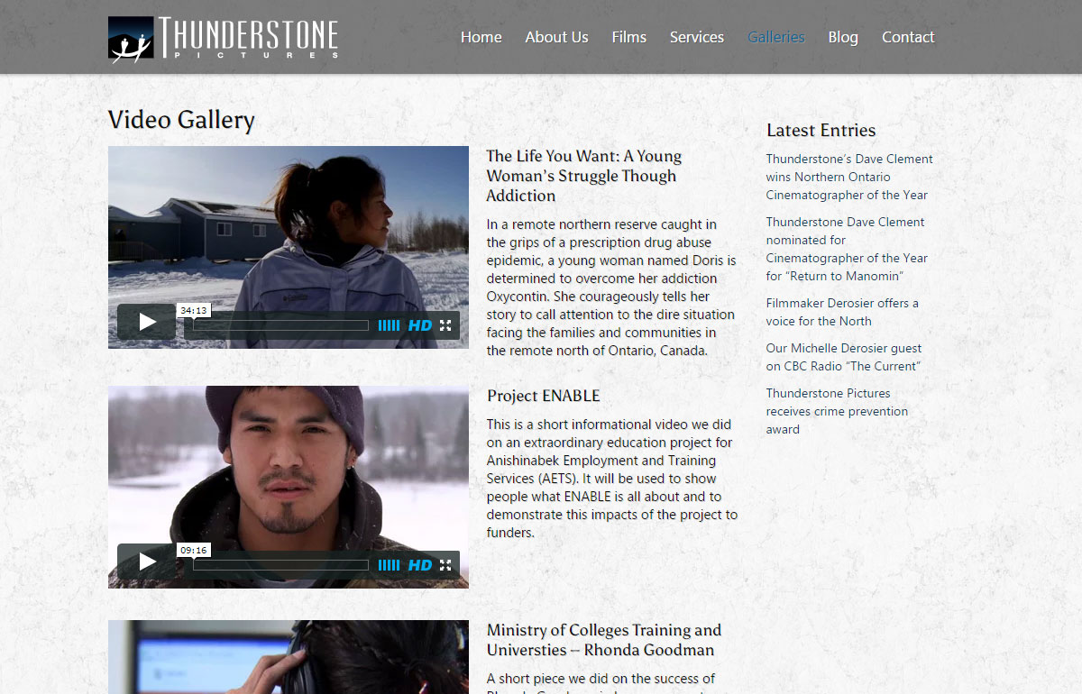Thunderstone Pictures